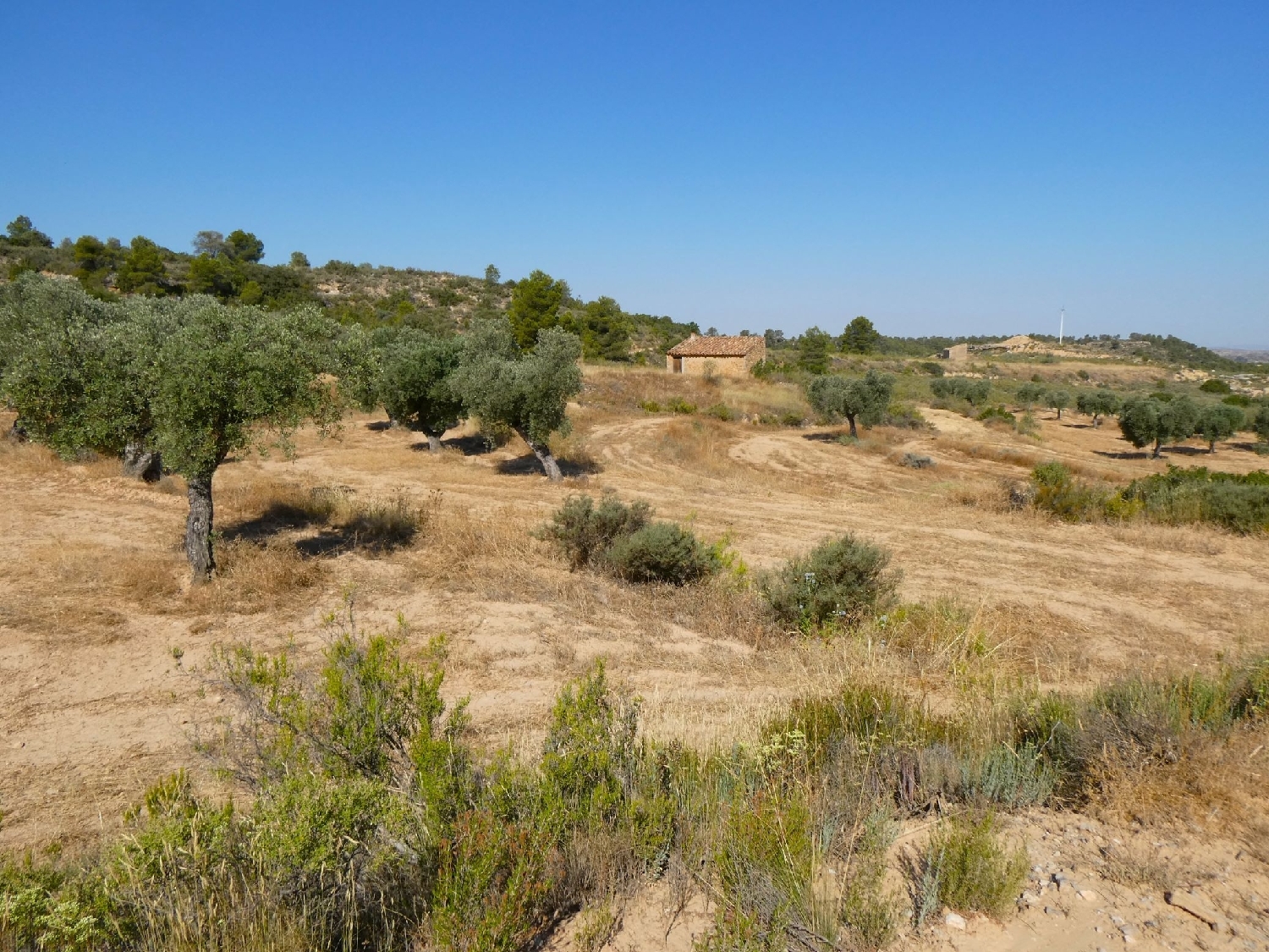  kaufen Landhaus Maella Bajo Aragón-Caspe 3