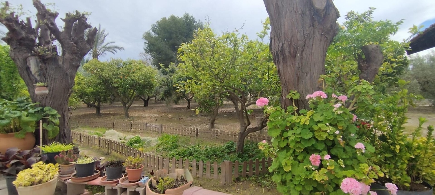  for sale country house Matola Baix Vinalopó 6