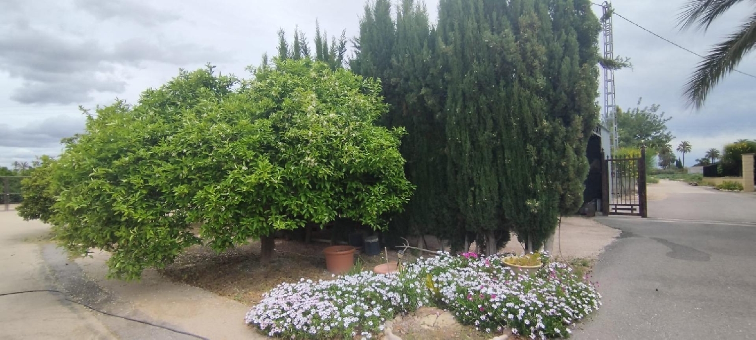 for sale country house Matola Baix Vinalopó 3