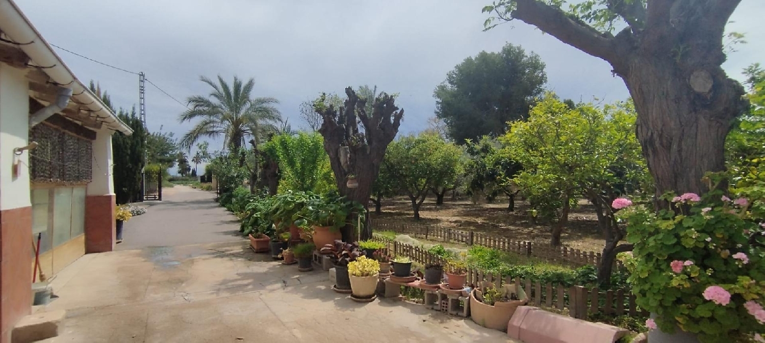 for sale country house Matola Baix Vinalopó 2