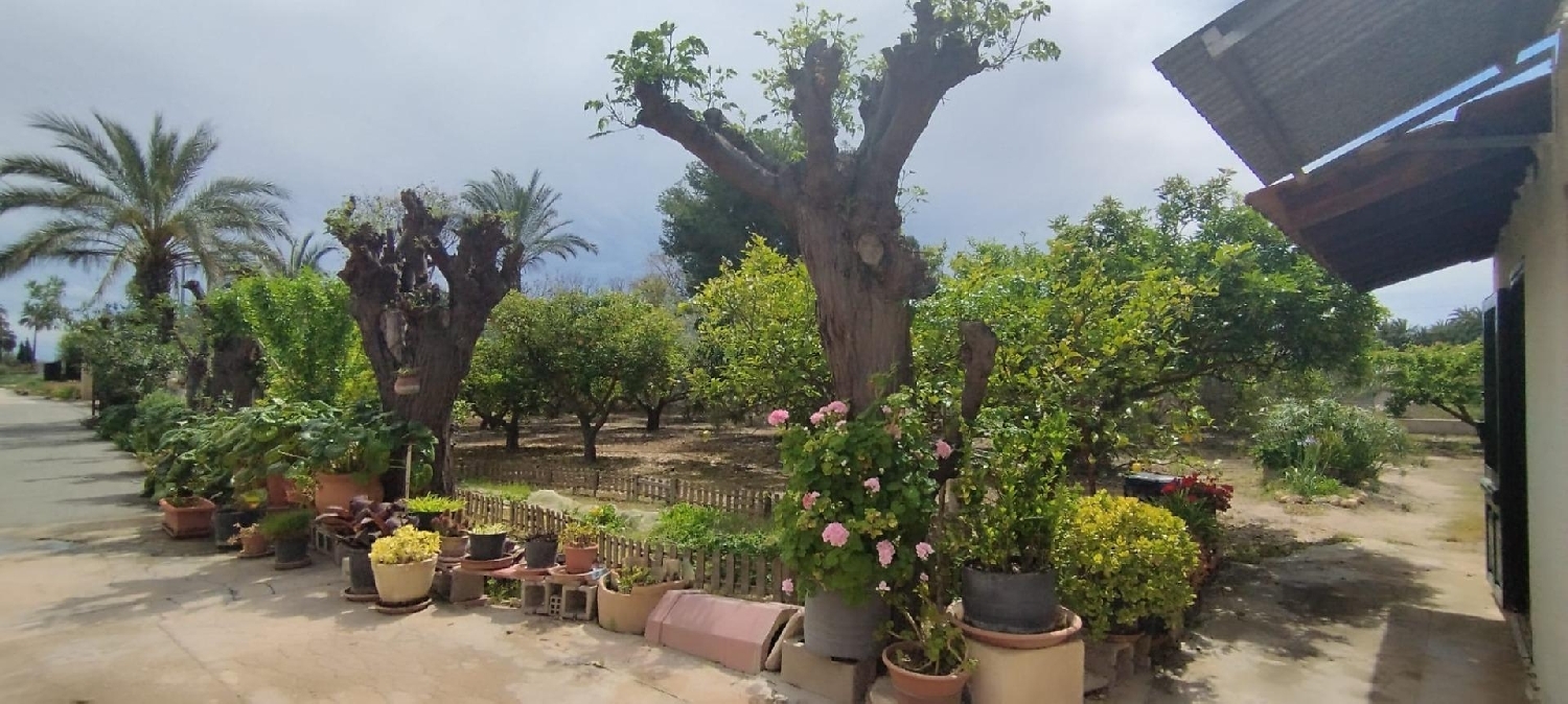  for sale country house Matola Baix Vinalopó 5