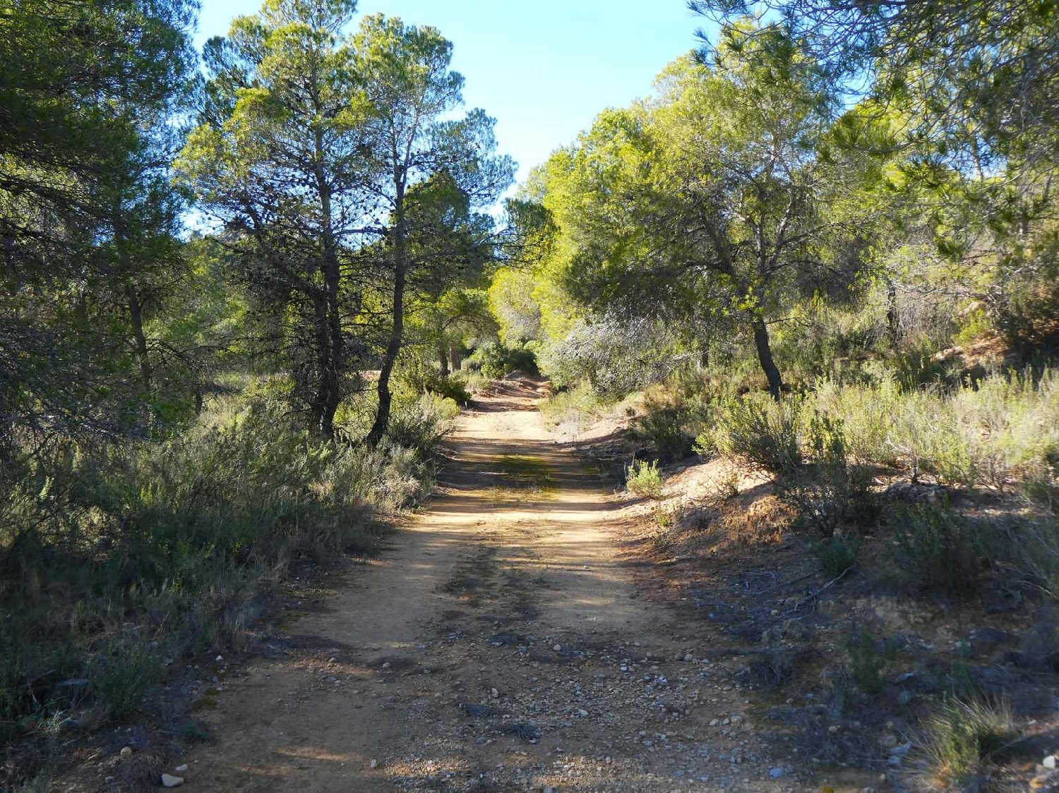  à vendre maison de campagne Mazaleón Matarraña 10