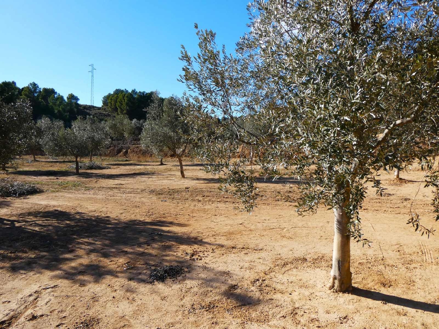  à vendre maison de campagne Mazaleón Matarraña 3