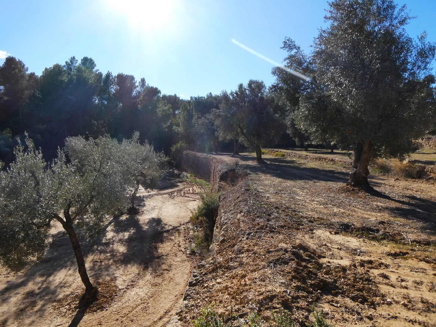  à vendre maison de campagne Mazaleón Matarraña 8