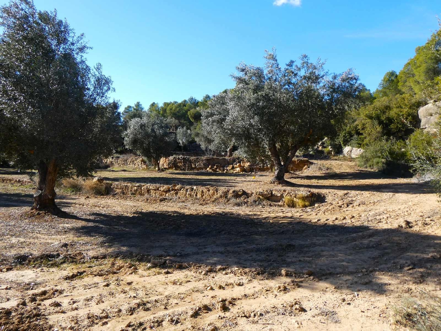  à vendre maison de campagne Mazaleón Matarraña 6