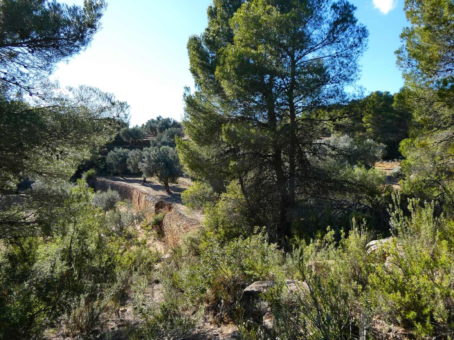  à vendre maison de campagne Mazaleón Matarraña 9