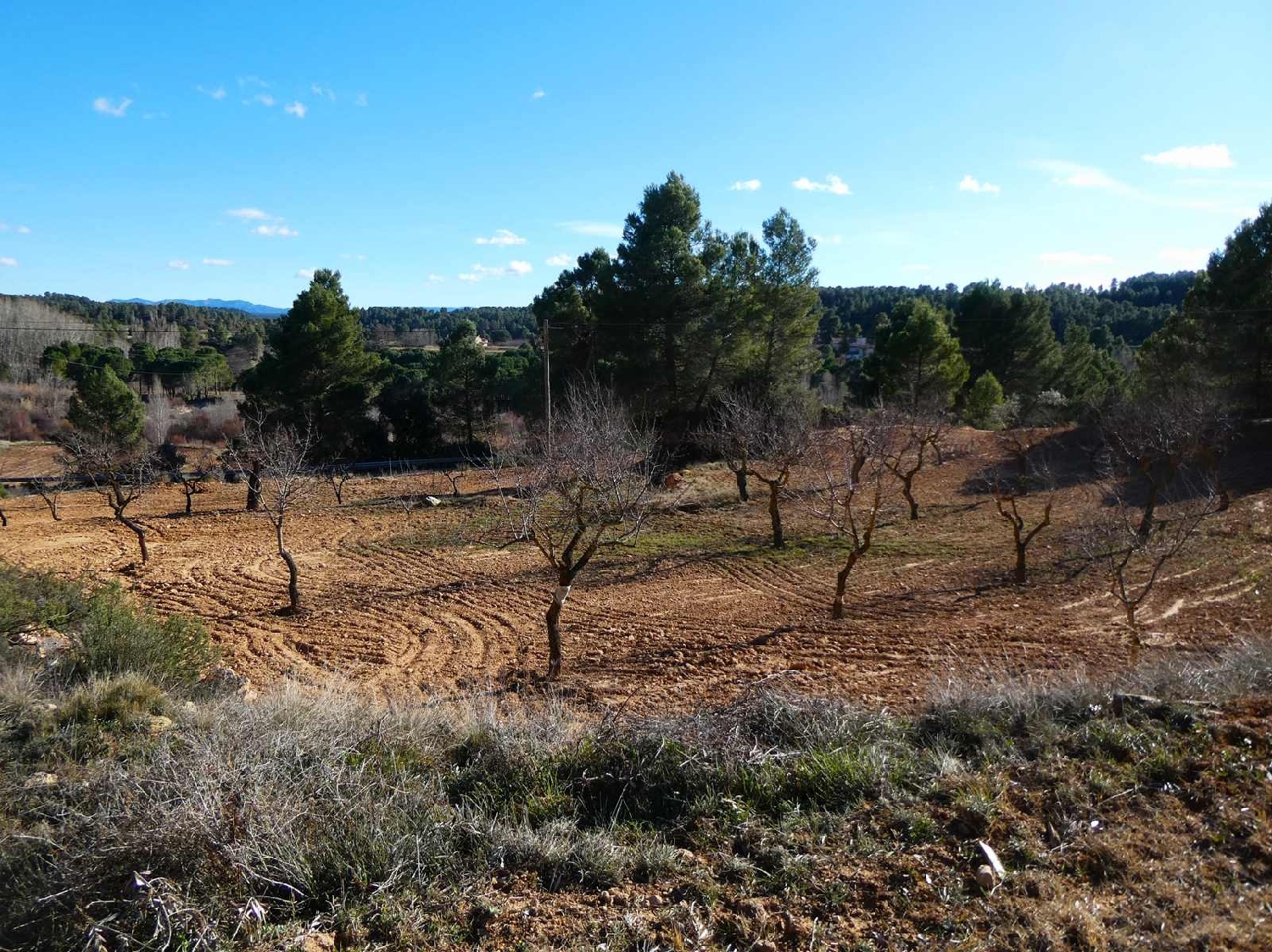  à vendre maison de campagne Mazaleón Matarraña 2