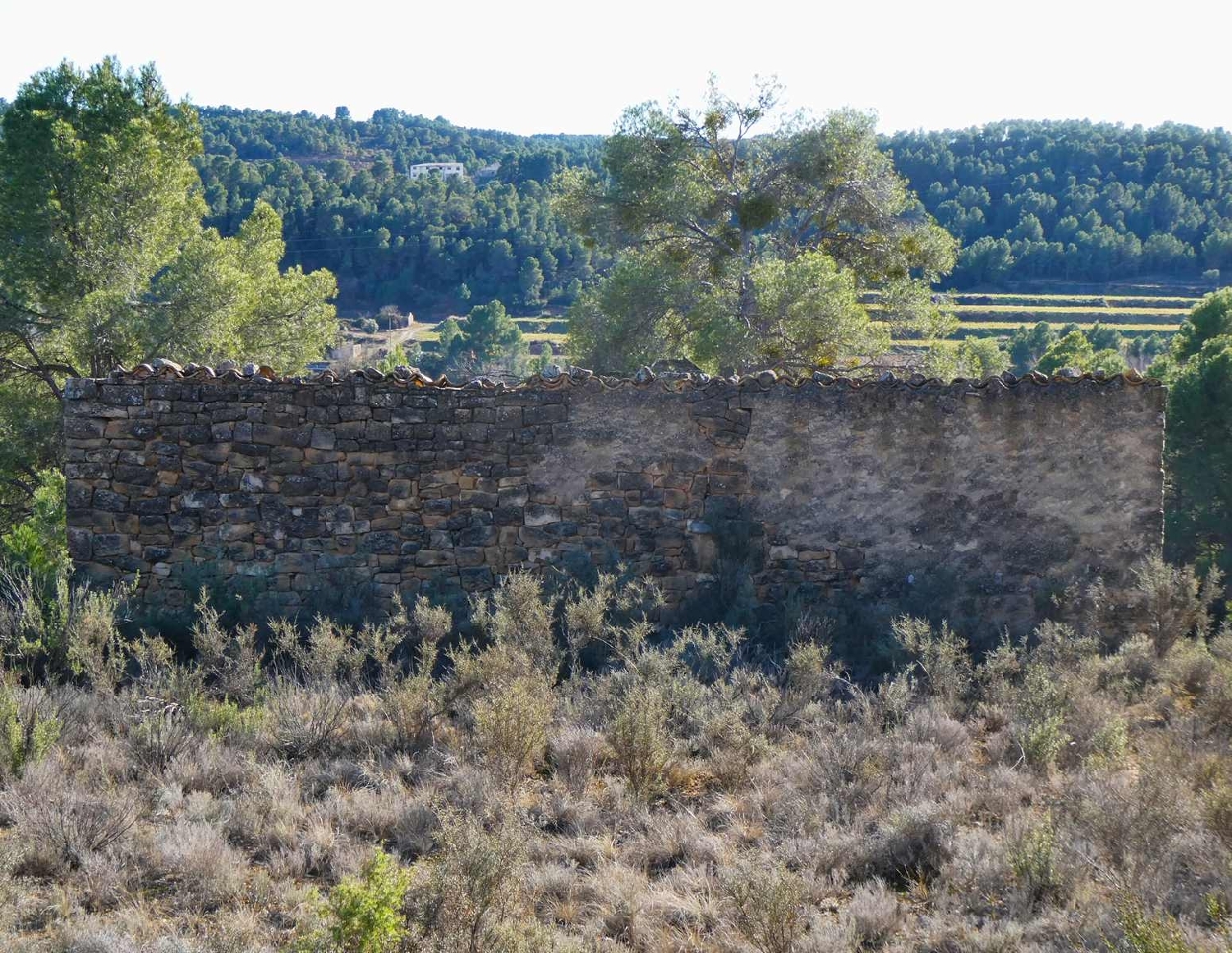  à vendre maison de campagne Mazaleón Matarraña 1