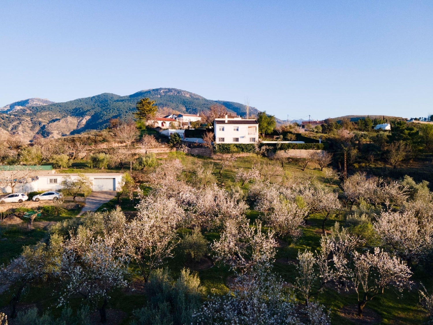  à vendre maison de campagne Monachil Vega De Granada 4