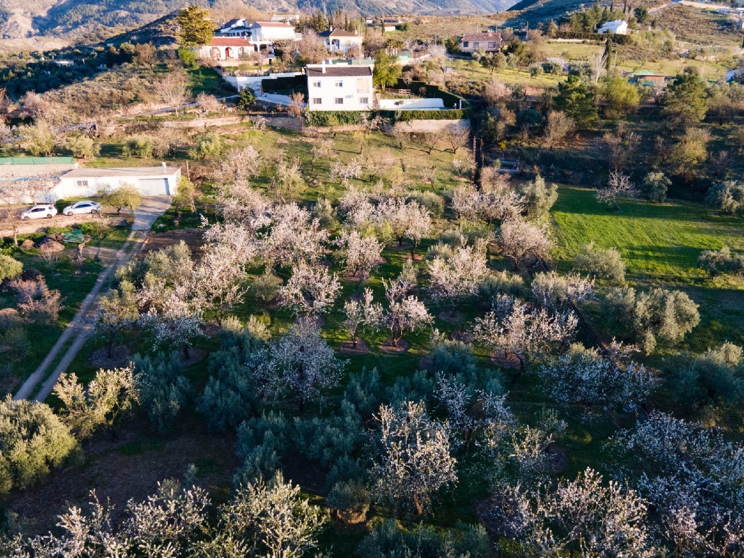 à vendre maison de campagne Monachil Vega De Granada 2