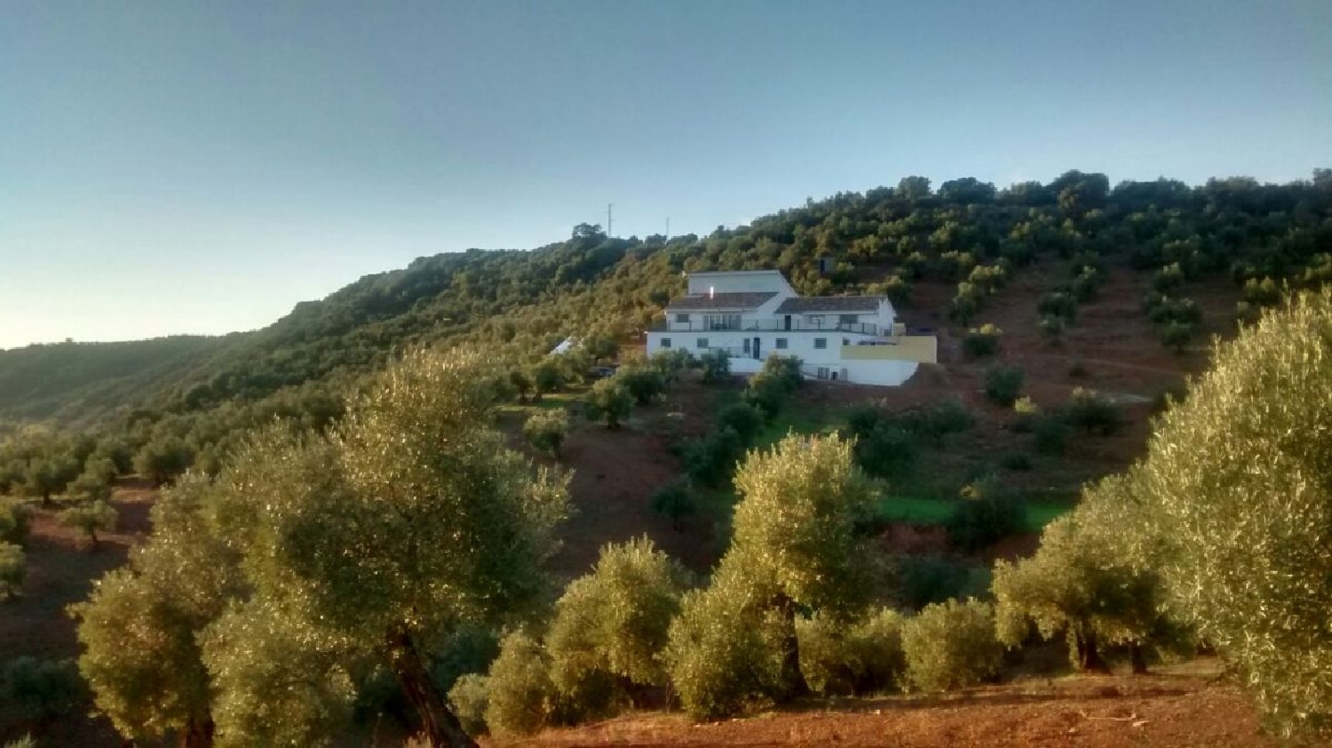  kaufen Landhaus Montoro Alto Guadalquivir 1