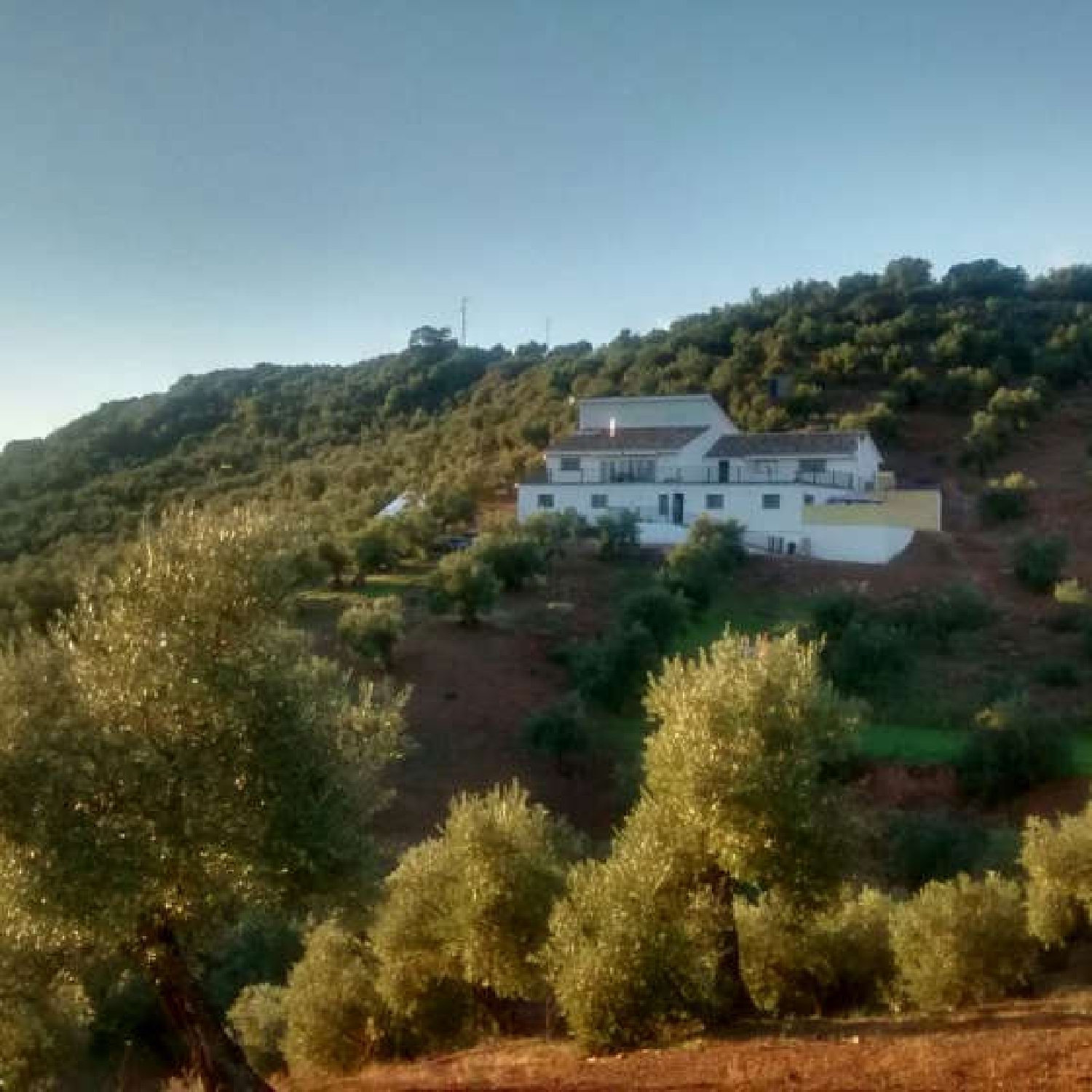 kaufen Landhaus Montoro Alto Guadalquivir 2