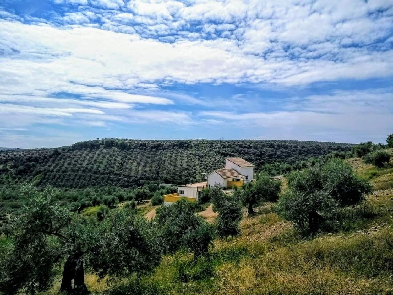  kaufen Landhaus Montoro Alto Guadalquivir 5