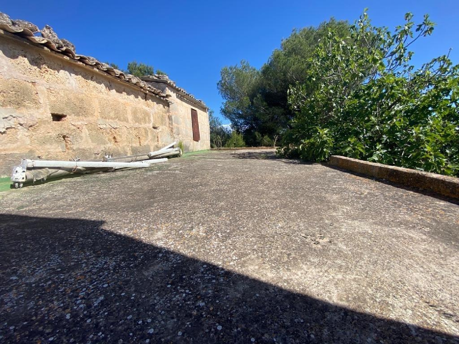  en venta finca rústica Muros Betanzos 2