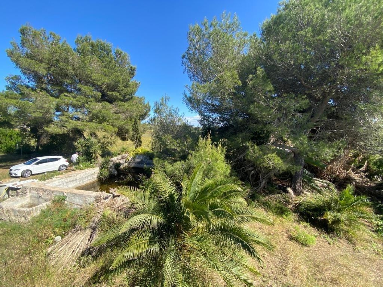  en venta finca rústica Muros Betanzos 4
