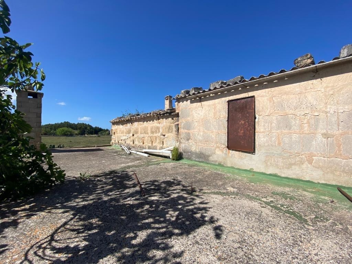  en venta finca rústica Muros Betanzos 1