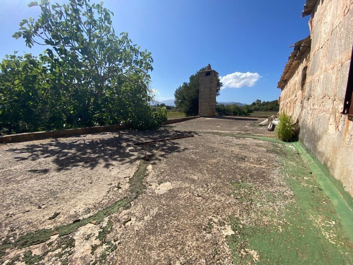  en venta finca rústica Muros Betanzos 6
