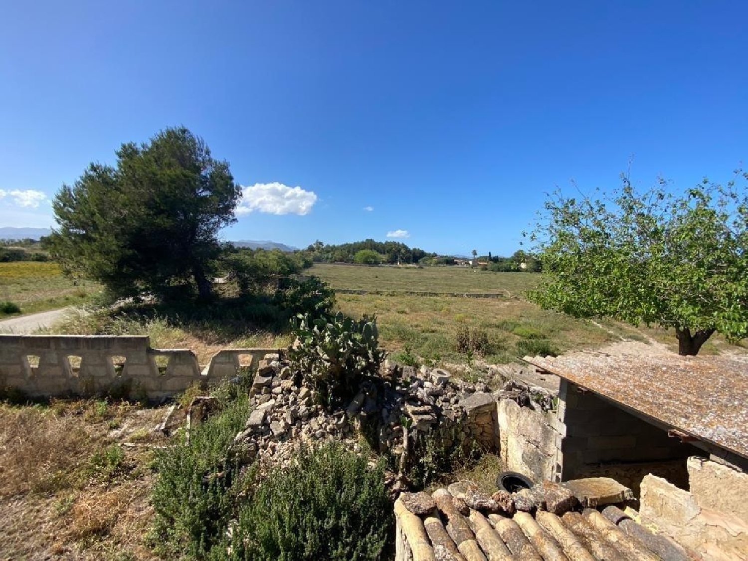  en venta finca rústica Muros Betanzos 5