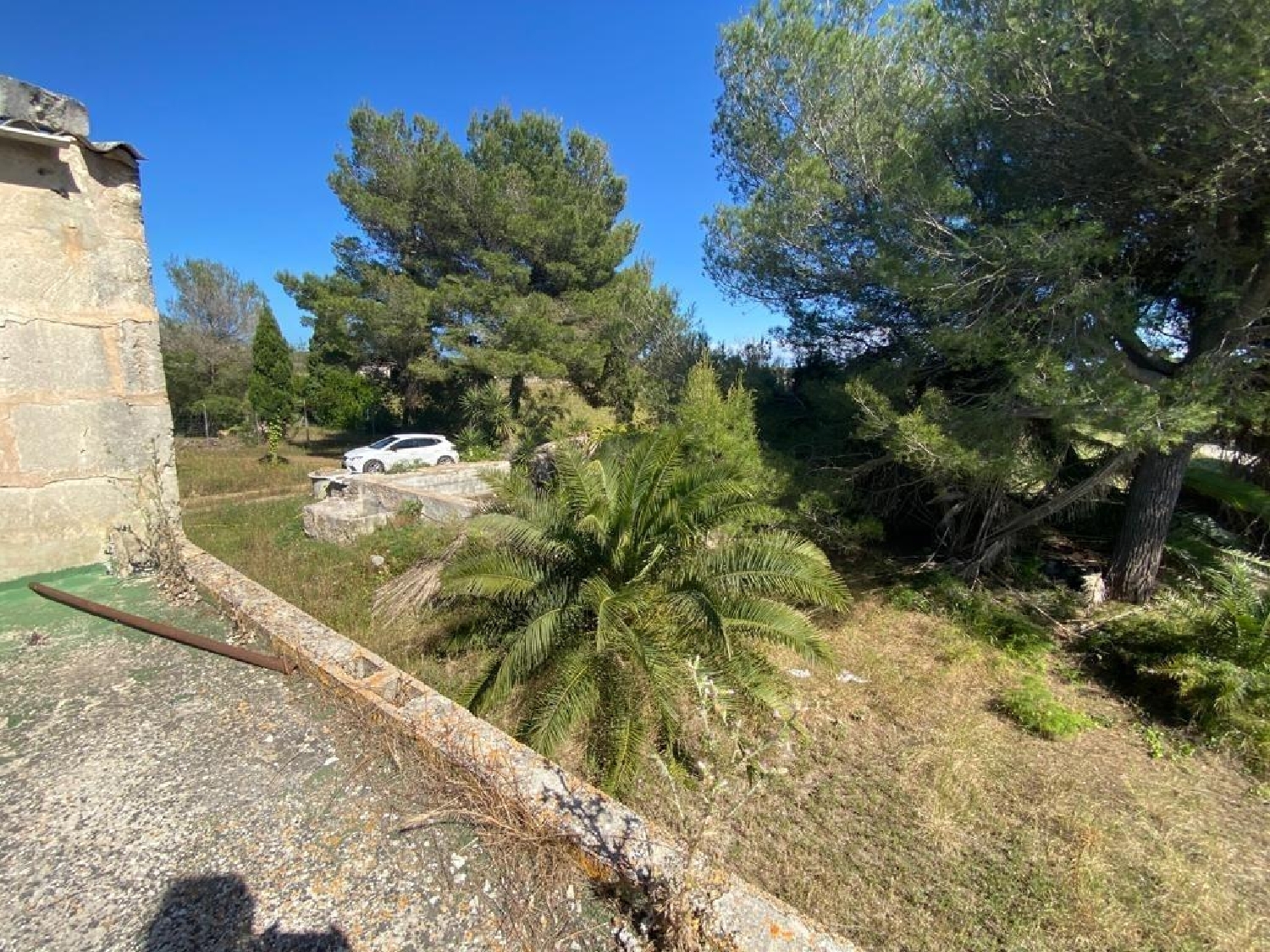  en venta finca rústica Muros Betanzos 7