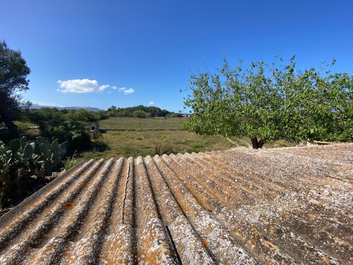  en venta finca rústica Muros Betanzos 3