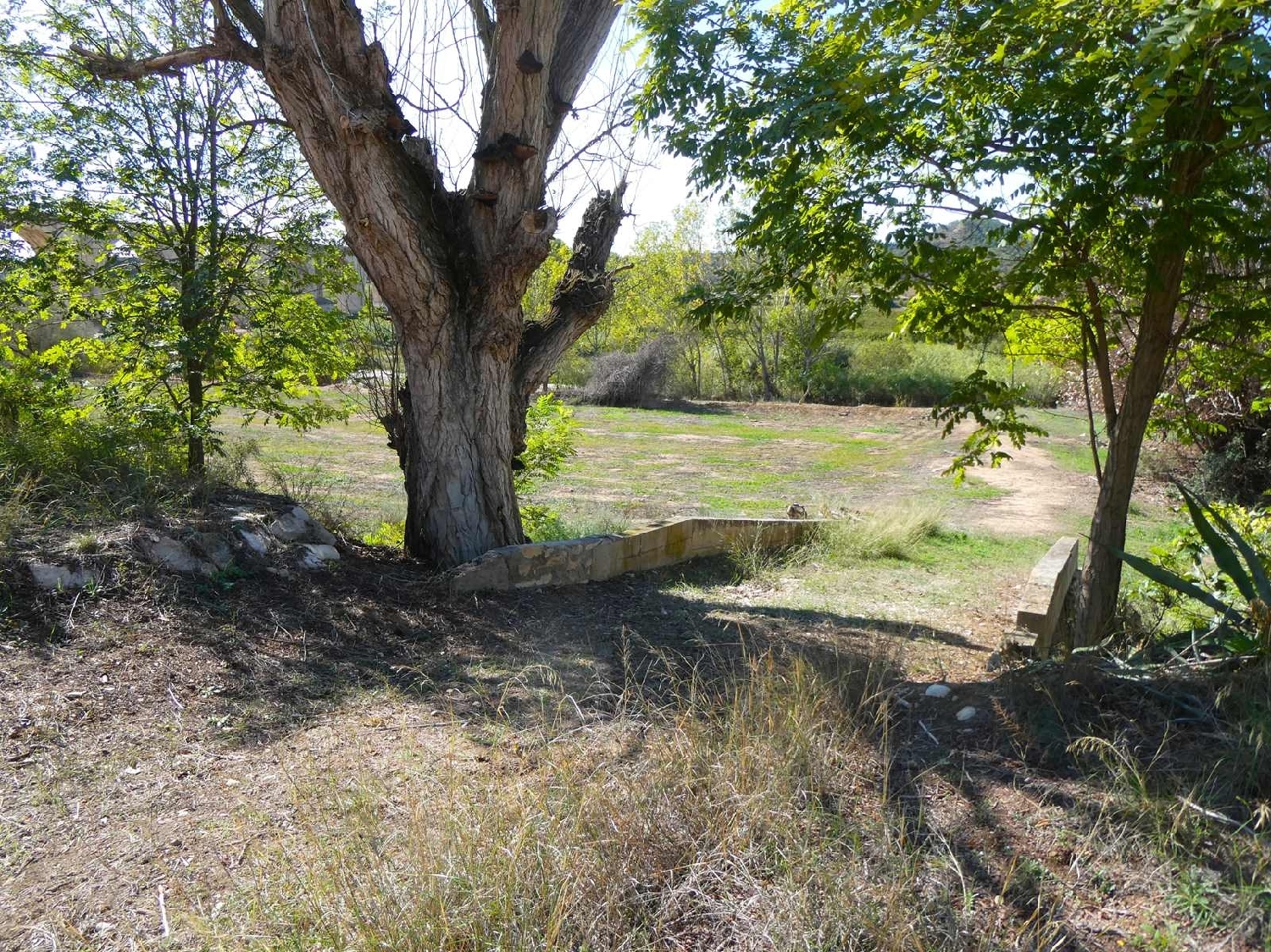  à vendre maison de campagne Nonaspe Bajo Aragón-Caspe 4