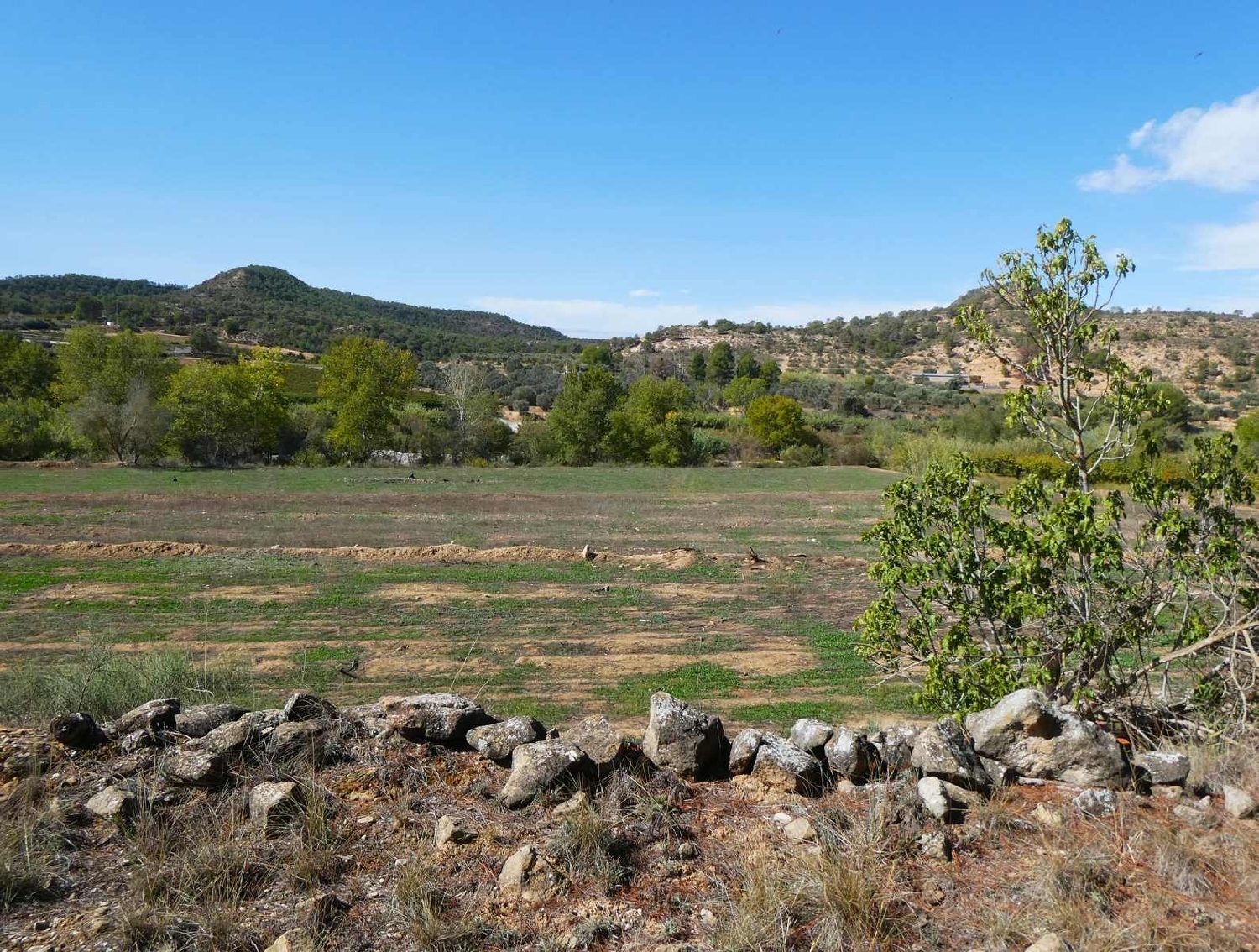  à vendre maison de campagne Nonaspe Bajo Aragón-Caspe 13