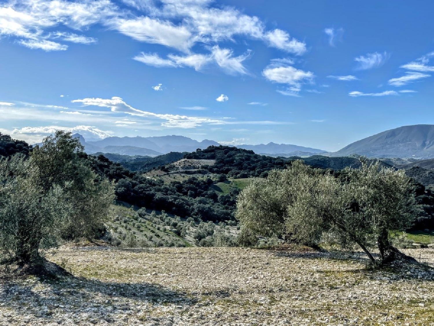  kaufen Landhaus Olvera Sierra De Cádiz 6