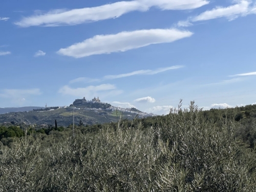 Olvera Sierra De Cádiz maison de campagne foto 6276801
