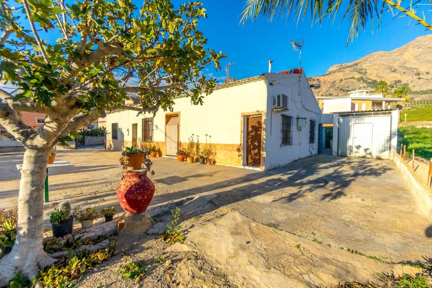  for sale country house Orihuela Baix Segura 1
