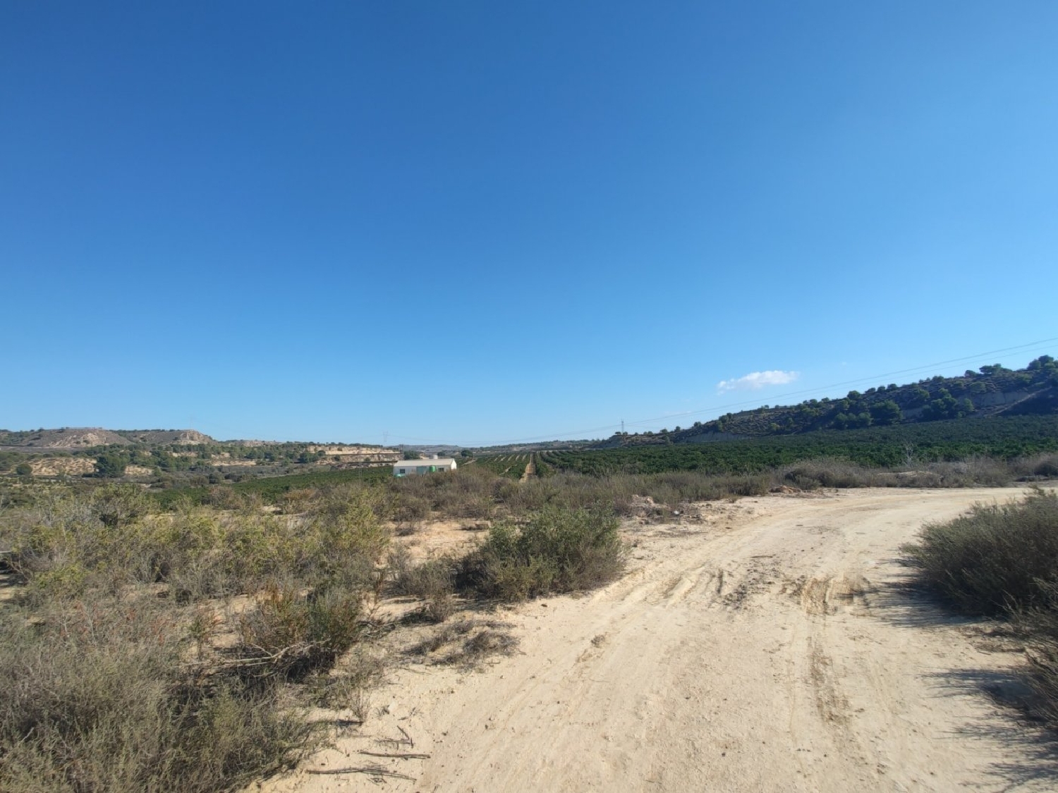  te koop boerderij Orihuela Baix Segura 4