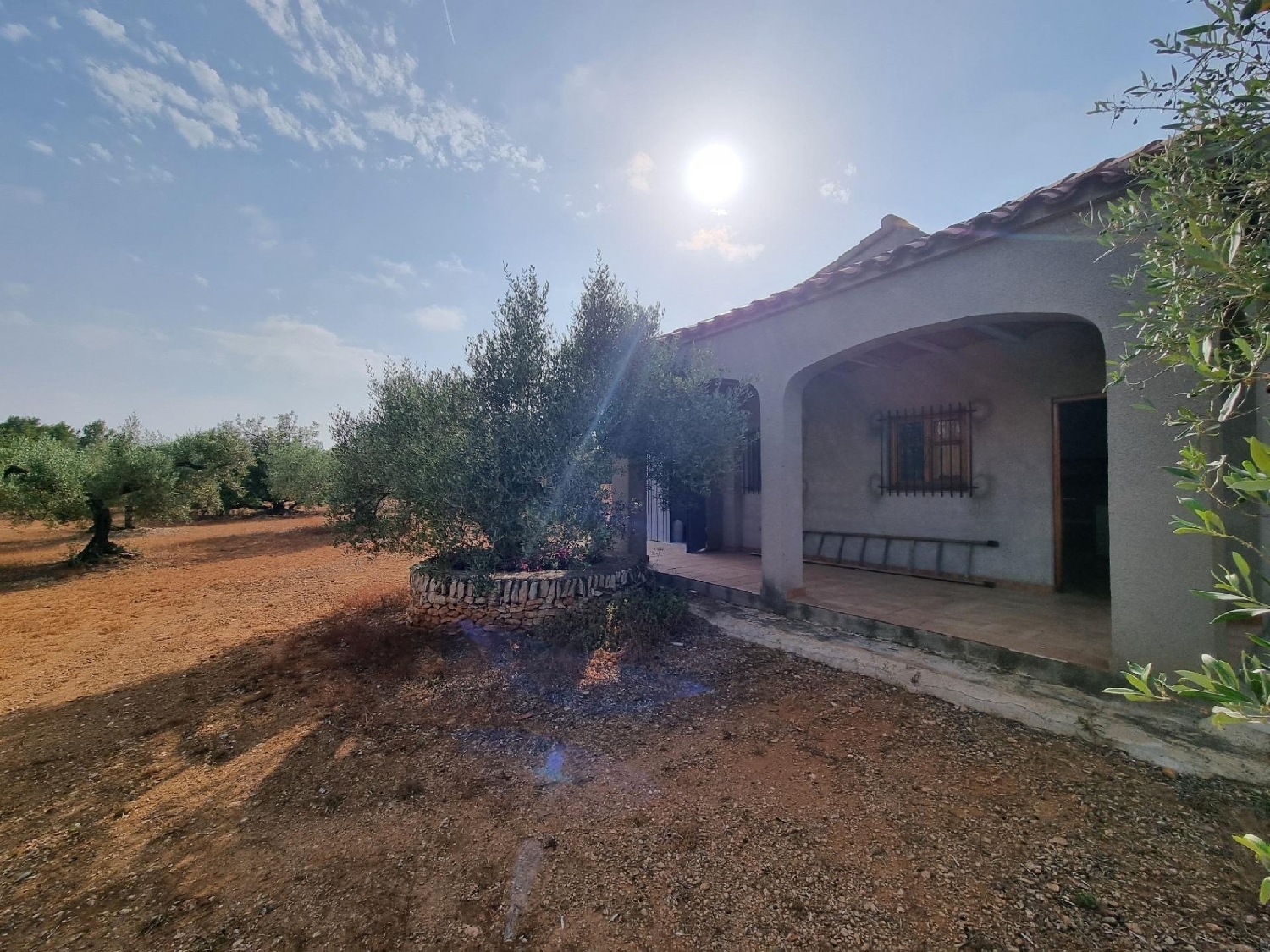  à vendre maison de campagne Perelló Gironès 2
