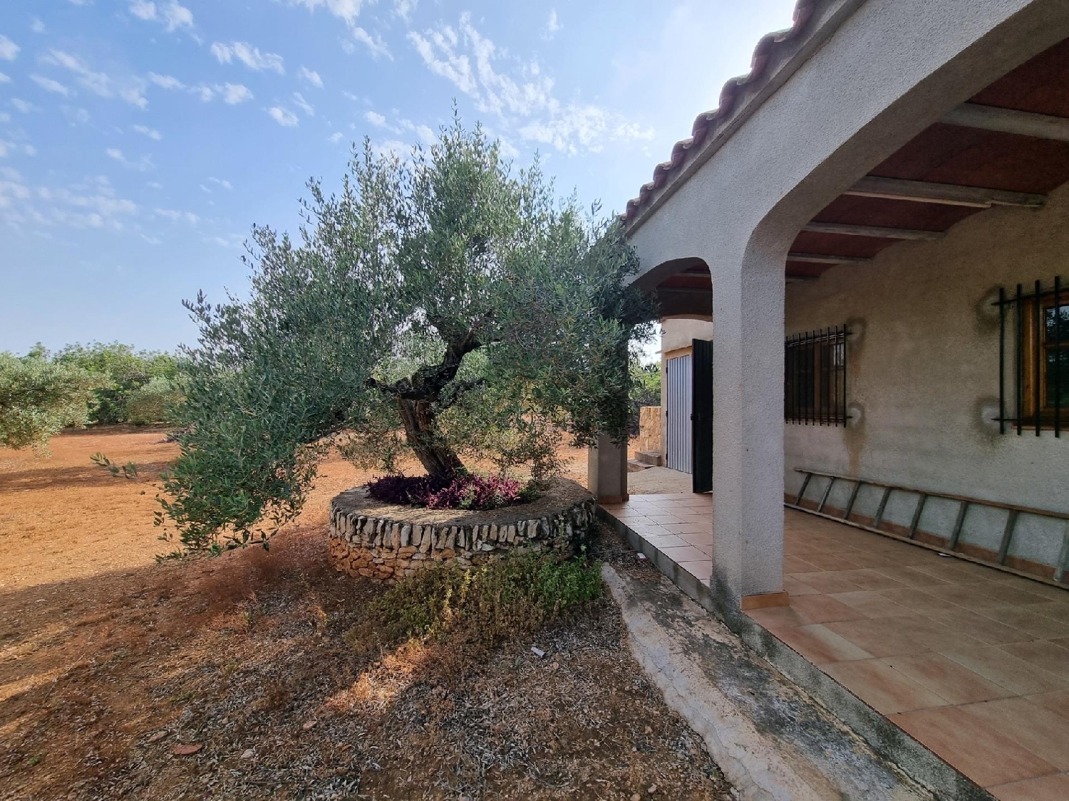  à vendre maison de campagne Perelló Gironès 1