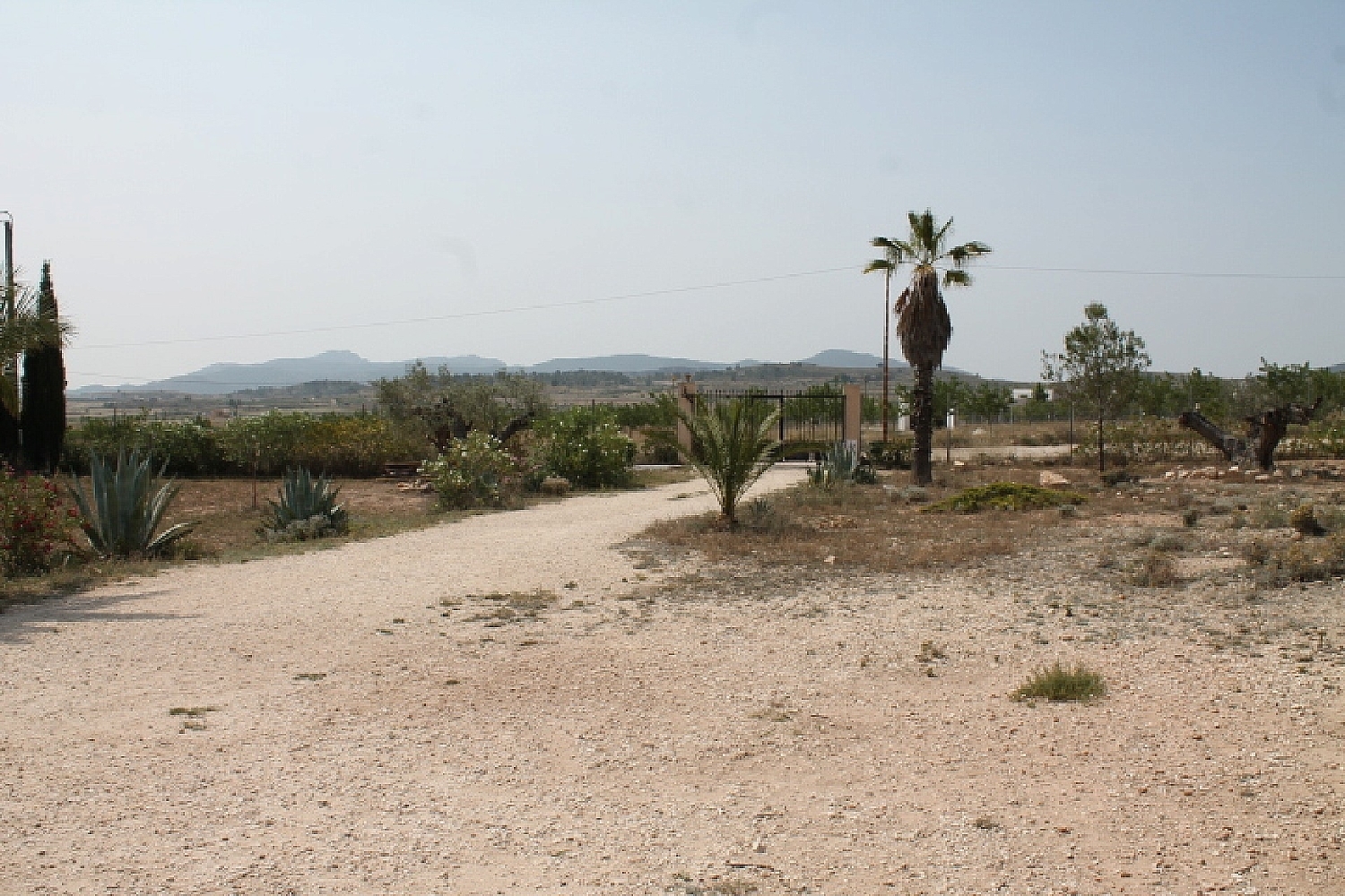  à vendre maison de campagne Pinoso Vinalopó Mitjà 30