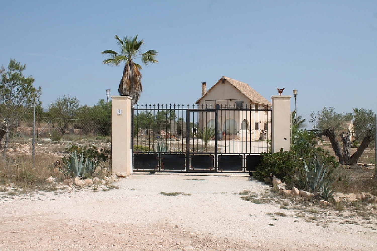  à vendre maison de campagne Pinoso Vinalopó Mitjà 27