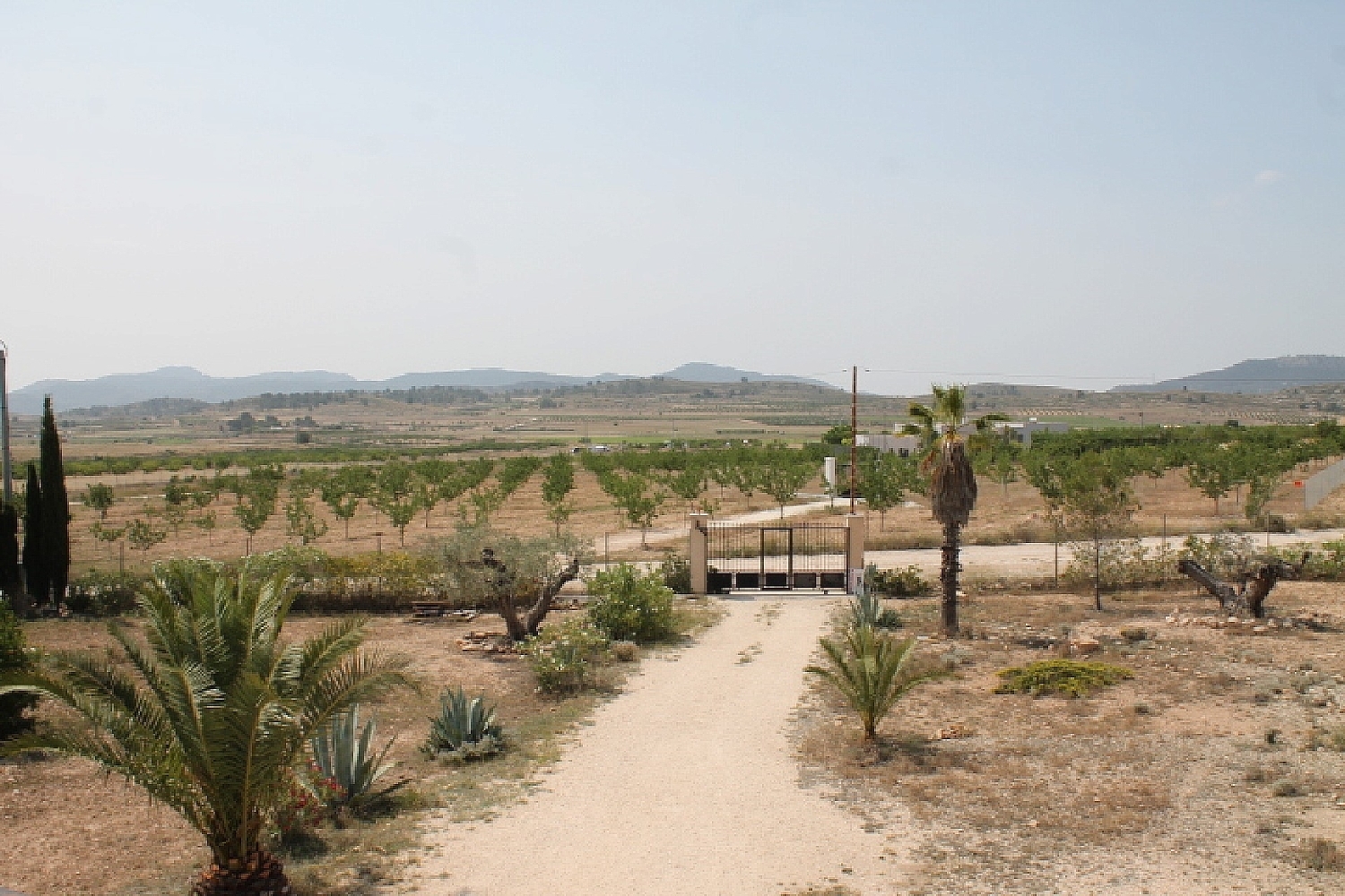  à vendre maison de campagne Pinoso Vinalopó Mitjà 22