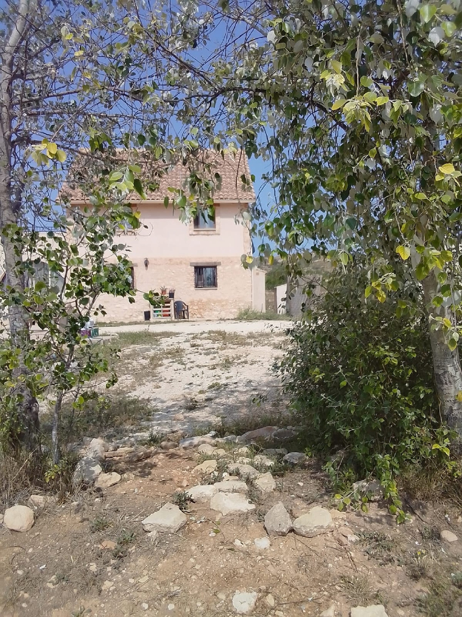  à vendre maison de campagne Pinoso Vinalopó Mitjà 28