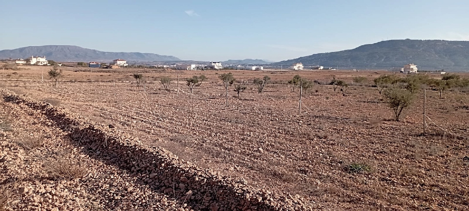  à vendre maison de campagne Pinoso Vinalopó Mitjà 10