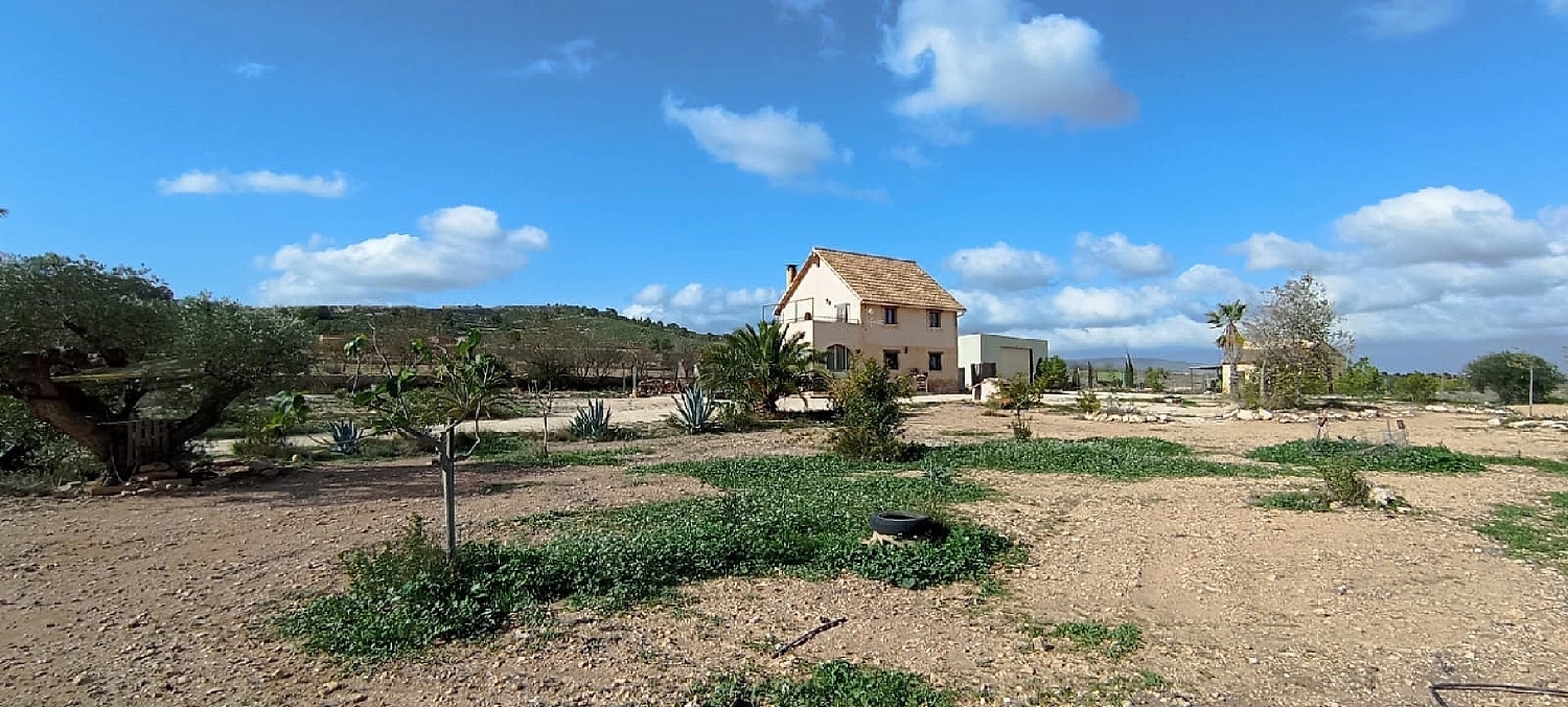  à vendre maison de campagne Pinoso Vinalopó Mitjà 14