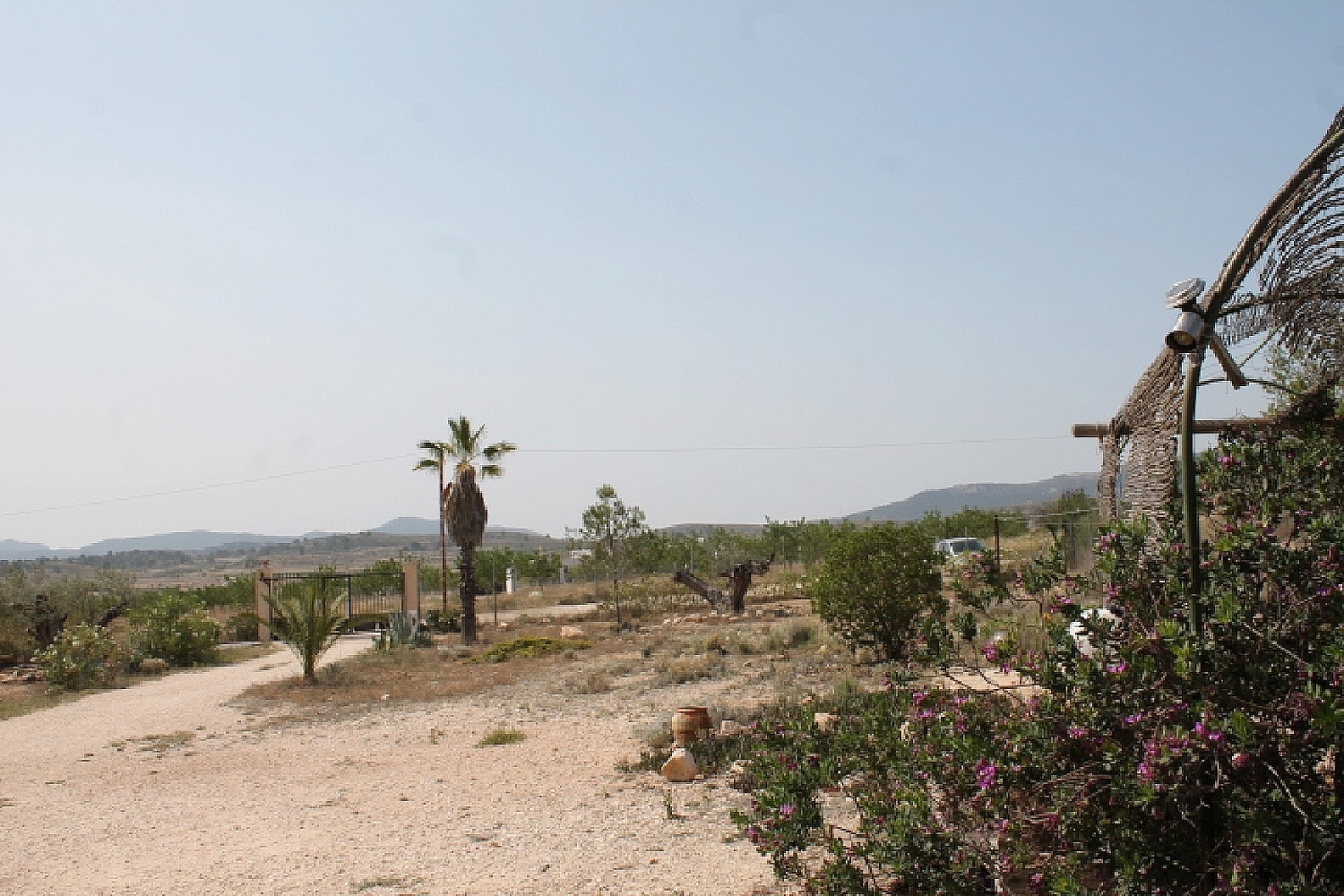  à vendre maison de campagne Pinoso Vinalopó Mitjà 32