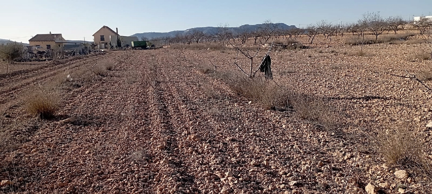  à vendre maison de campagne Pinoso Vinalopó Mitjà 20