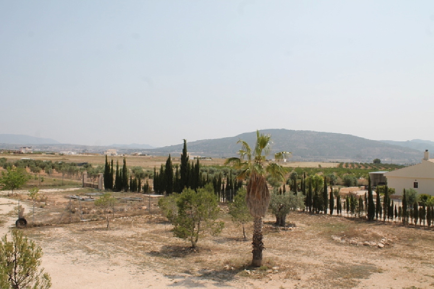  à vendre maison de campagne Pinoso Vinalopó Mitjà 16
