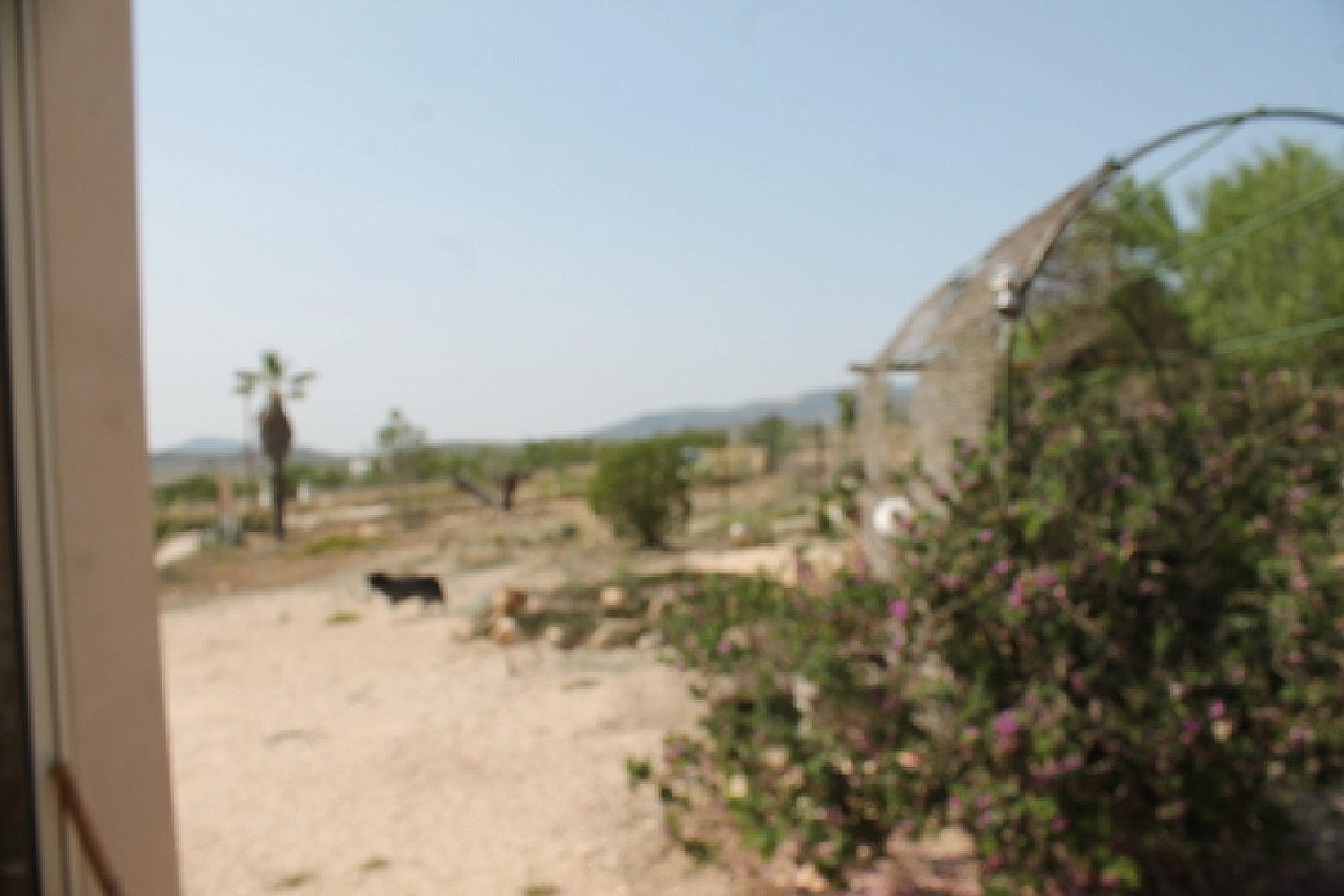  à vendre maison de campagne Pinoso Vinalopó Mitjà 26