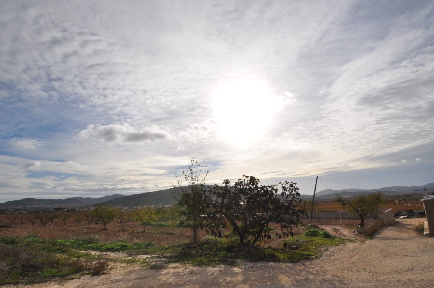  en venta finca rústica Pinoso Vinalopó Mitjà 8