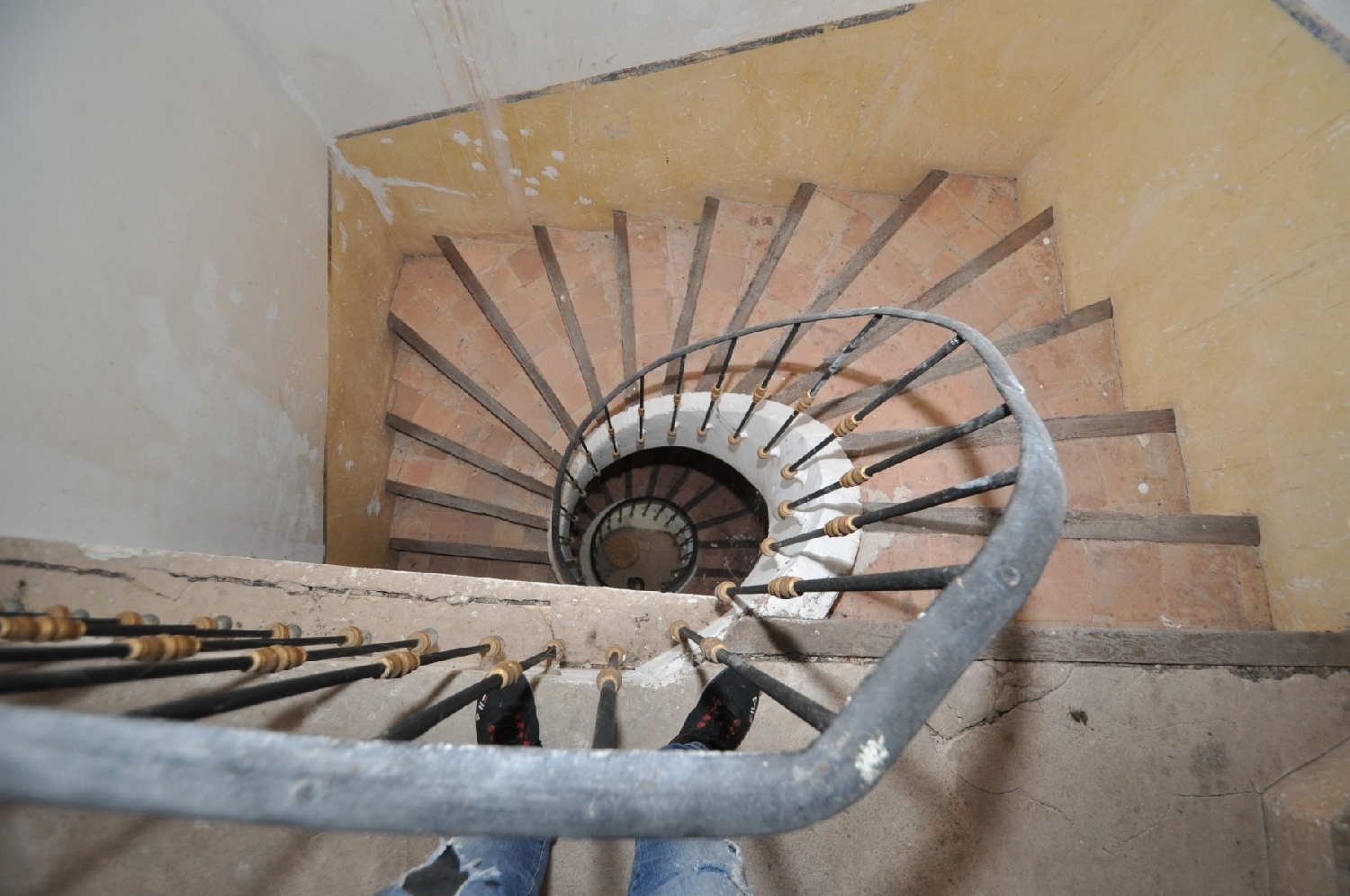  en venta finca rústica Pinoso Vinalopó Mitjà 7