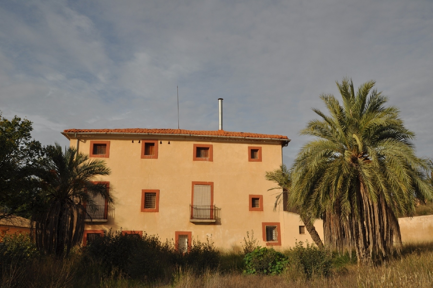  en venta finca rústica Pinoso Vinalopó Mitjà 4
