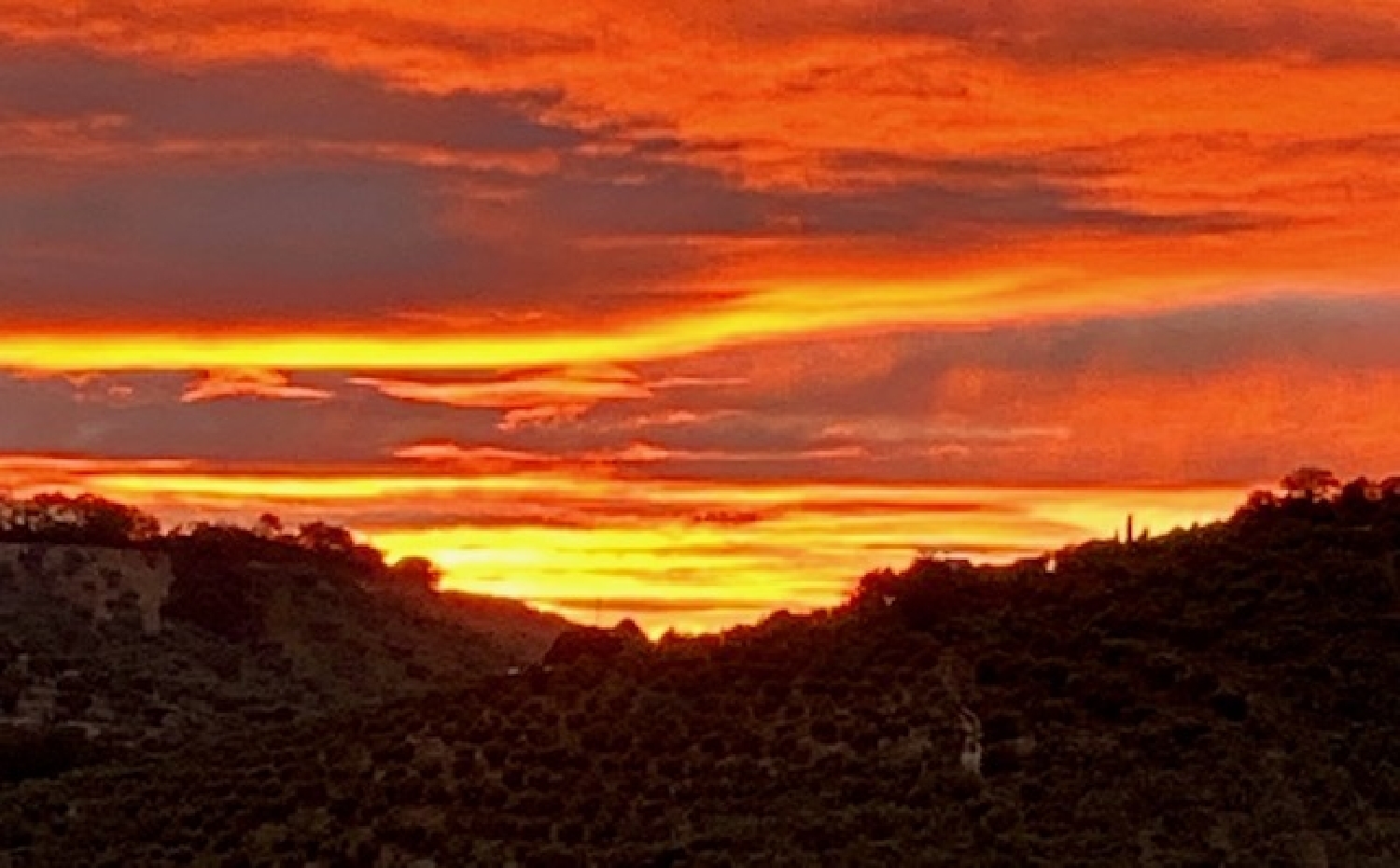  en venta finca rústica Pruna Sierra Sur 6