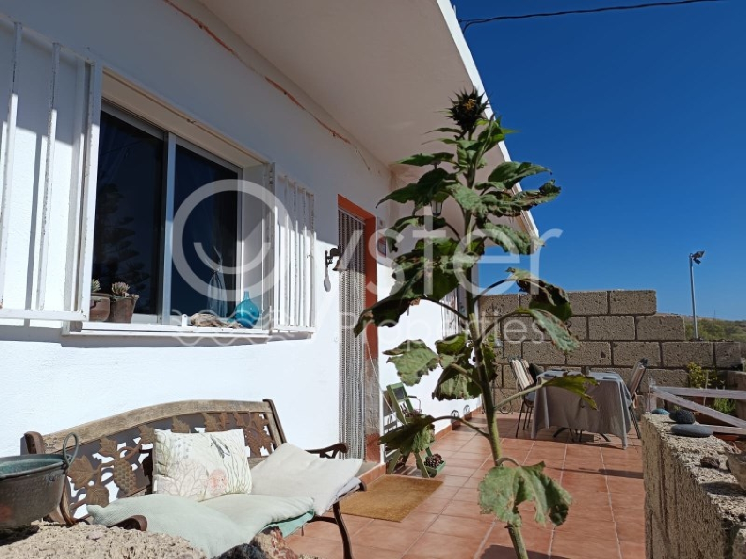  te koop boerderij Quemados Zona Sur 7