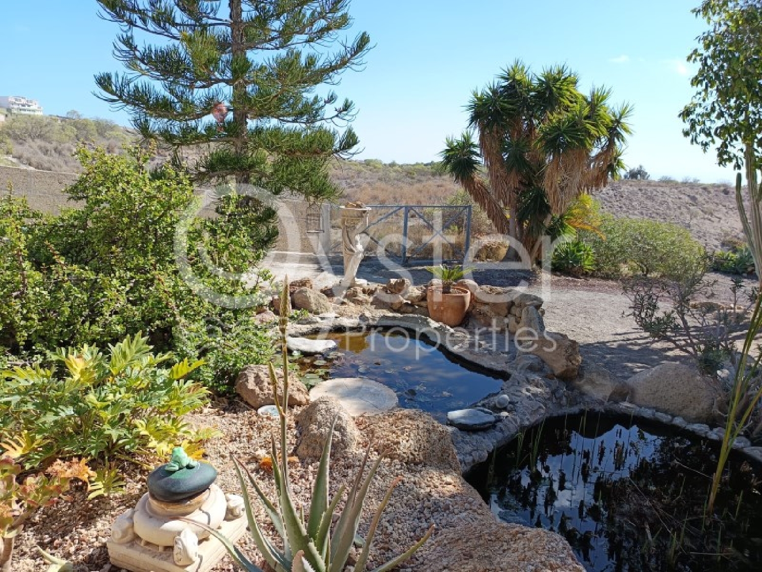  te koop boerderij Quemados Zona Sur 6