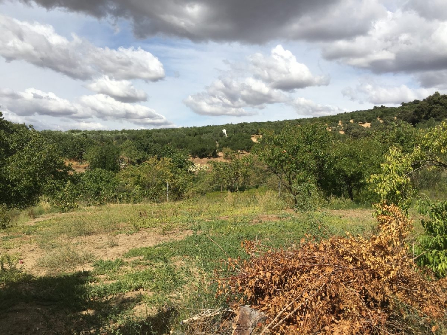  en venta finca rústica Ronda Serranía De Ronda 6