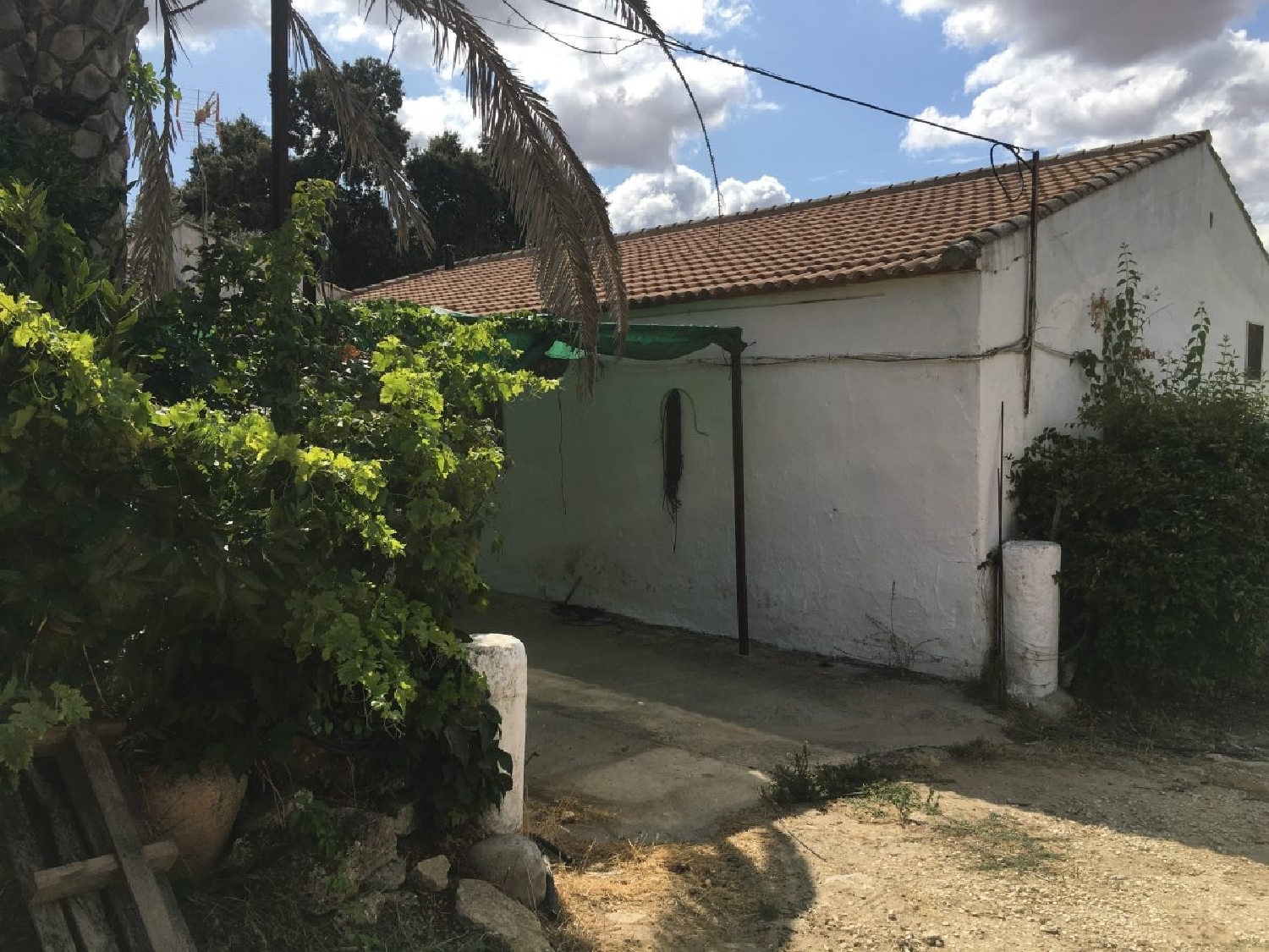  en venta finca rústica Ronda Serranía De Ronda 14